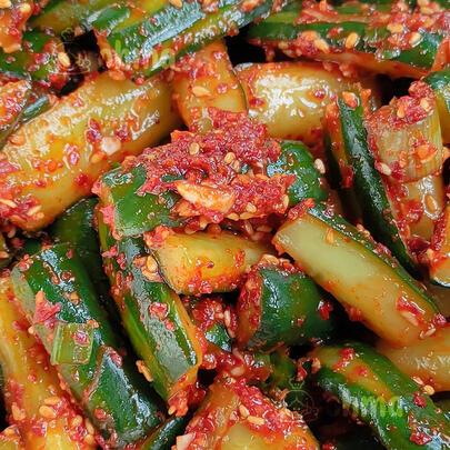 ohma's cucumber kimchi / o-ee kimchi (오이김치)
